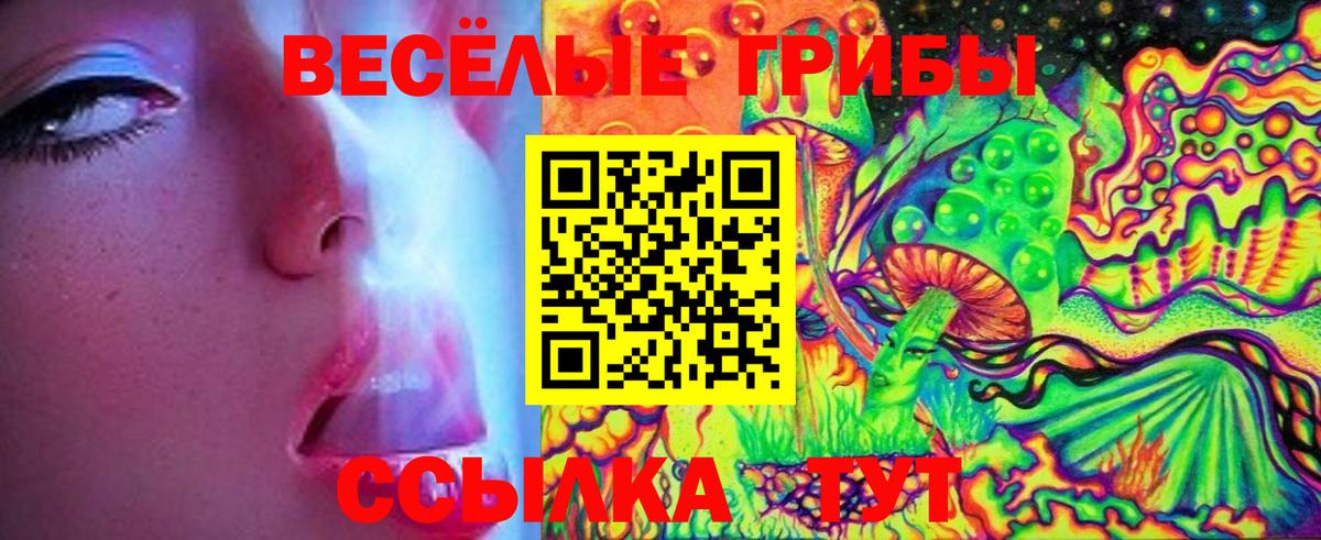 Псилоцибиновые грибы Psilocybine cubensis Вятские Поляны