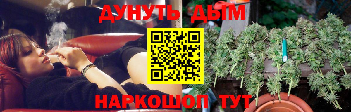 Бошки Шишки гибрид Вятские Поляны